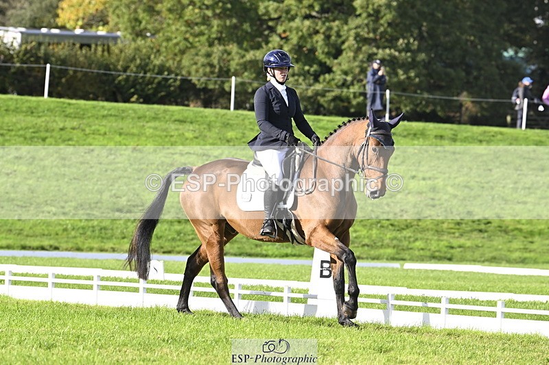 251023A-151013-04535 - E-386-Zara.Head