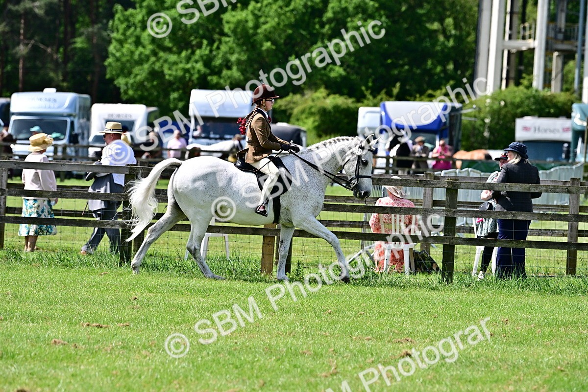 SBM_03809