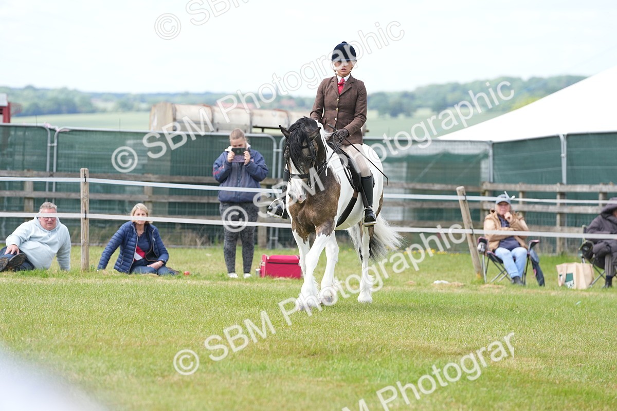 SBM_17232 - Class 107-108 - LIHS BSPS Performance Coloured Horse Pony