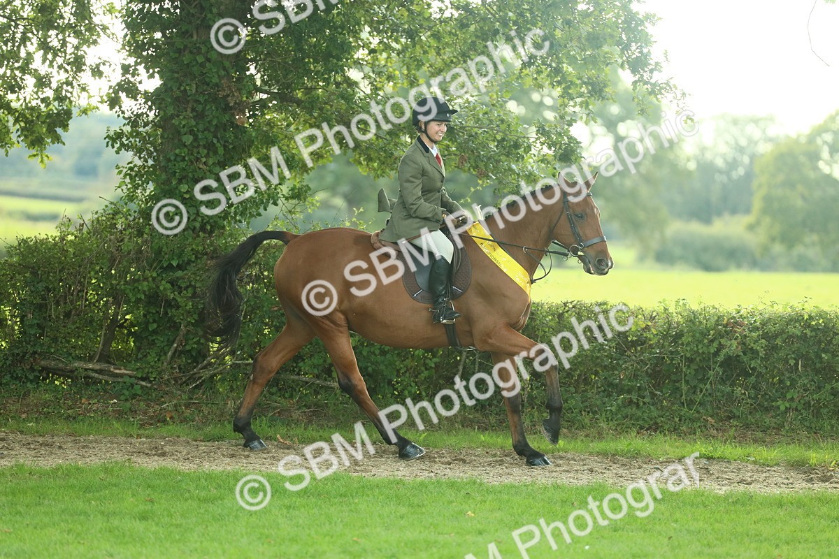 SBM_52252 - S33 - Working Hunter & Working Show Horse