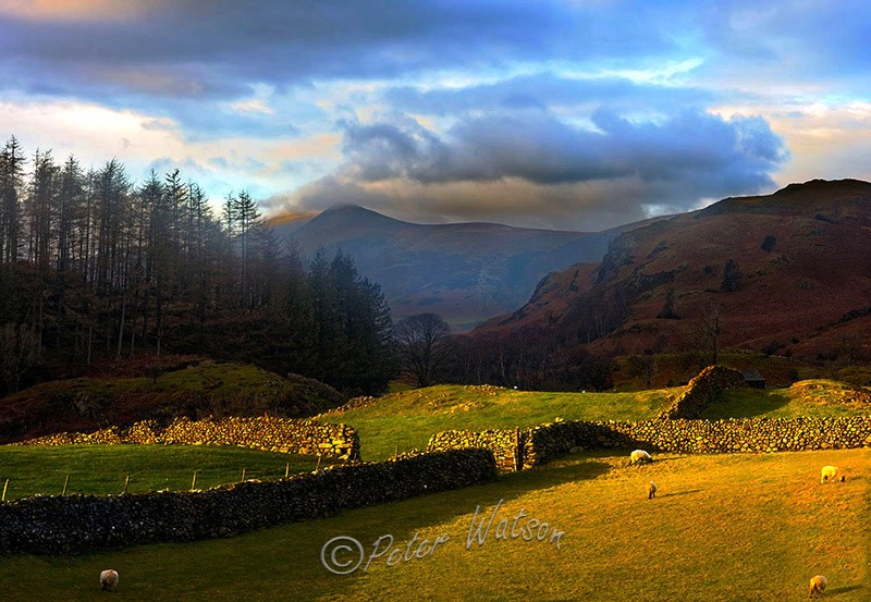 Near Thirlmere Cumbria England - Land