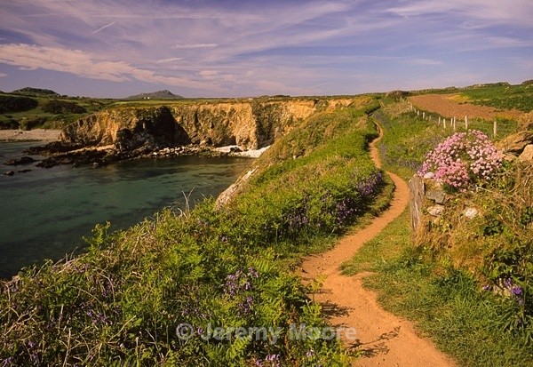 Jeremy Moore Photography, Pembrokeshire, Wales
