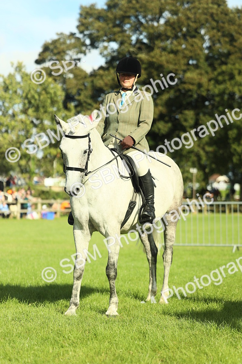 SBM_49867 - S32 - Novice & Newcomers Working Hunter