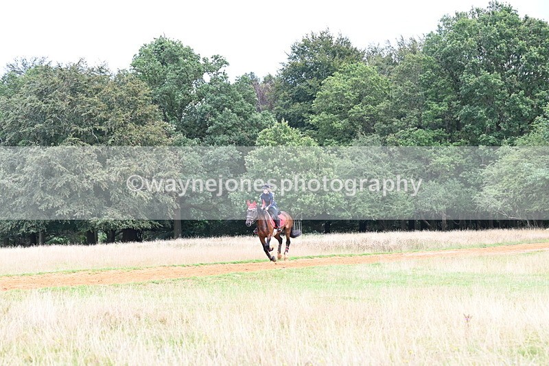 DSC_8898 - Time at Statue 14:33 to 15:10