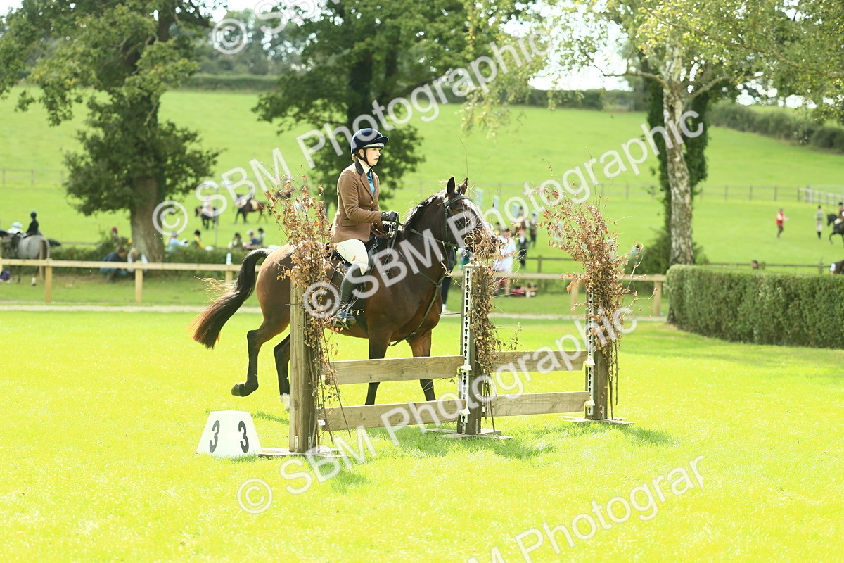 SBM_43003 - S30 - M&M Working hunter Pony