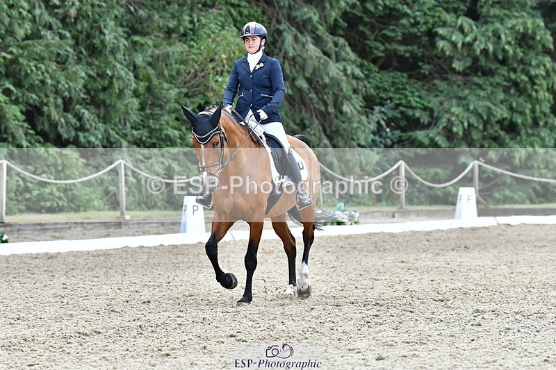 260801A-114851-03718 - Prelim Bronze Break - End
