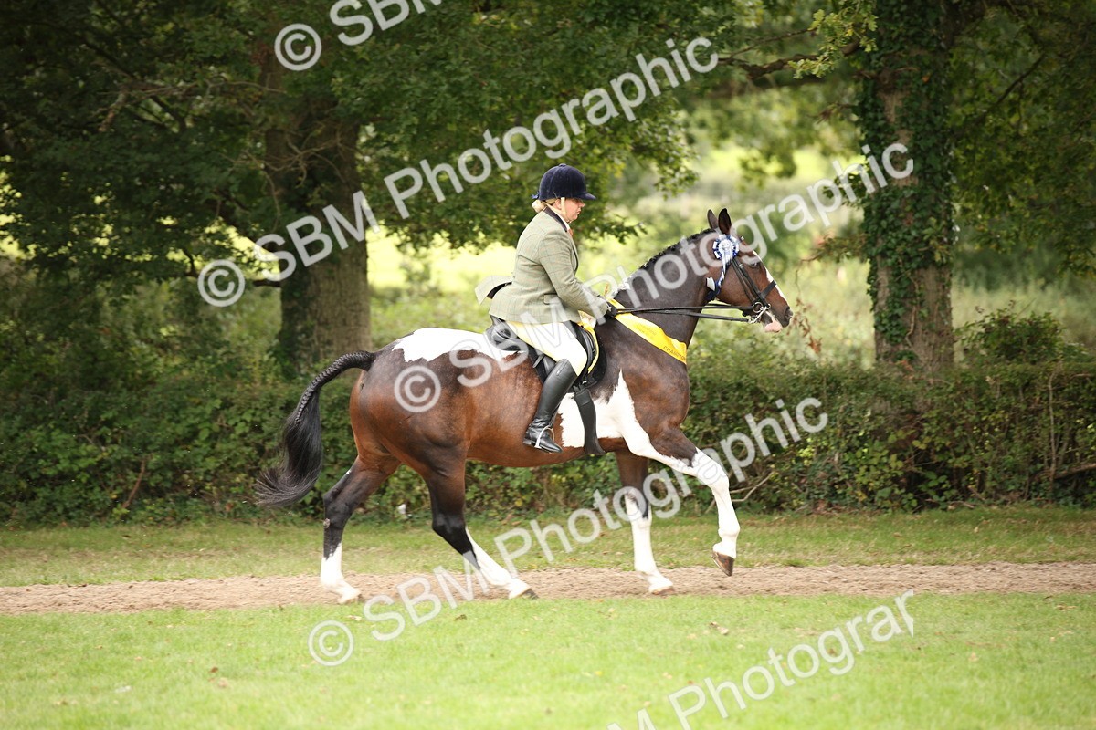 SBM_73665 - Ridden Horse Supreme Championship