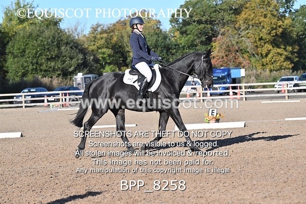 BPP_8258 - LONG ARENA