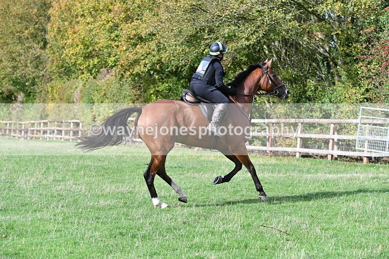 WJ5_1142 - Time 14:29 to 15:31