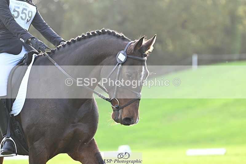 241025-154704-10344 - 559-Anastasia.Terray-KAROUBE