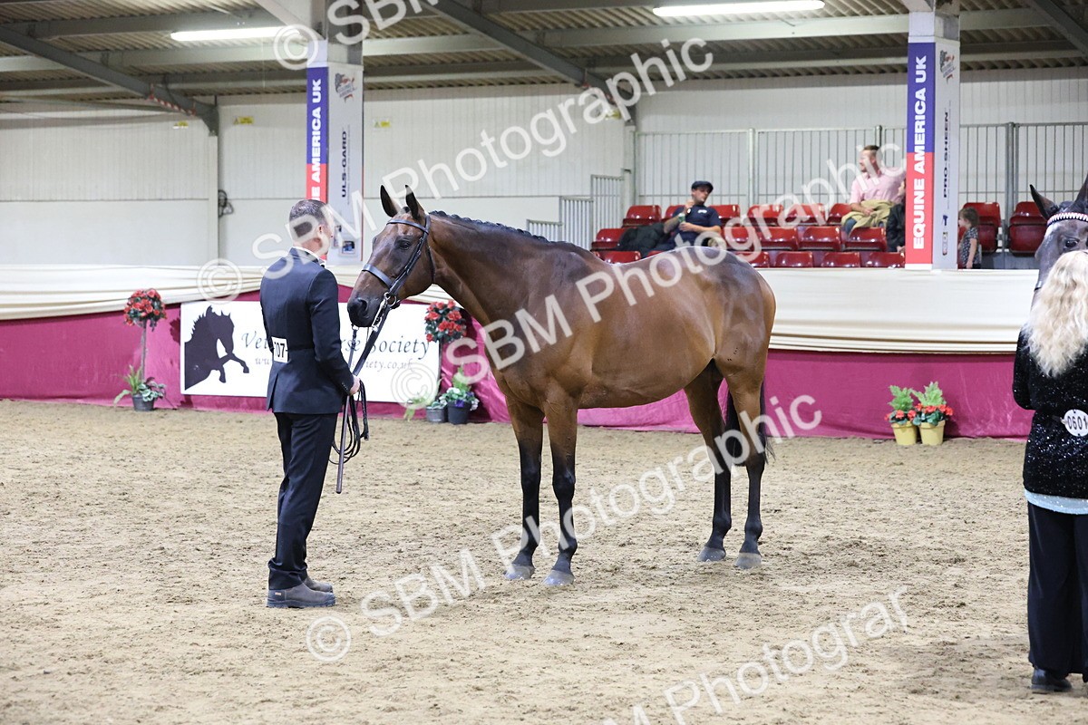 SBM_20663 - Class I - Ridden Pony Champ