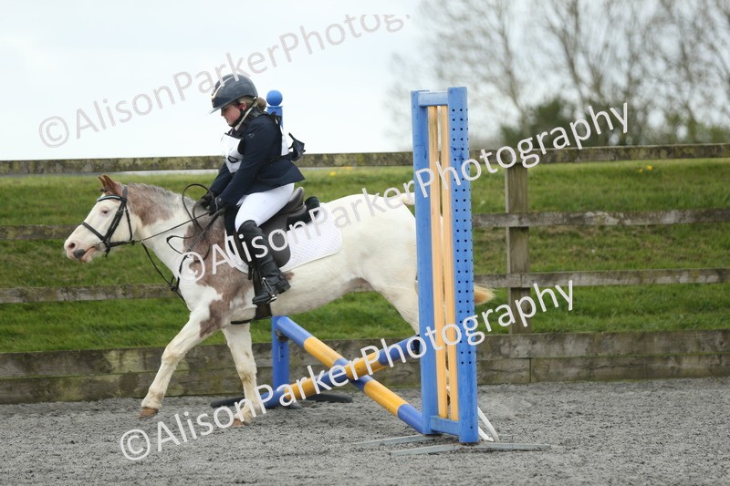 20260412-0672 - Show Jumping