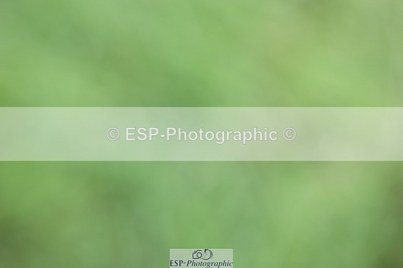 230827-125356-25356 - XC 12 to 13