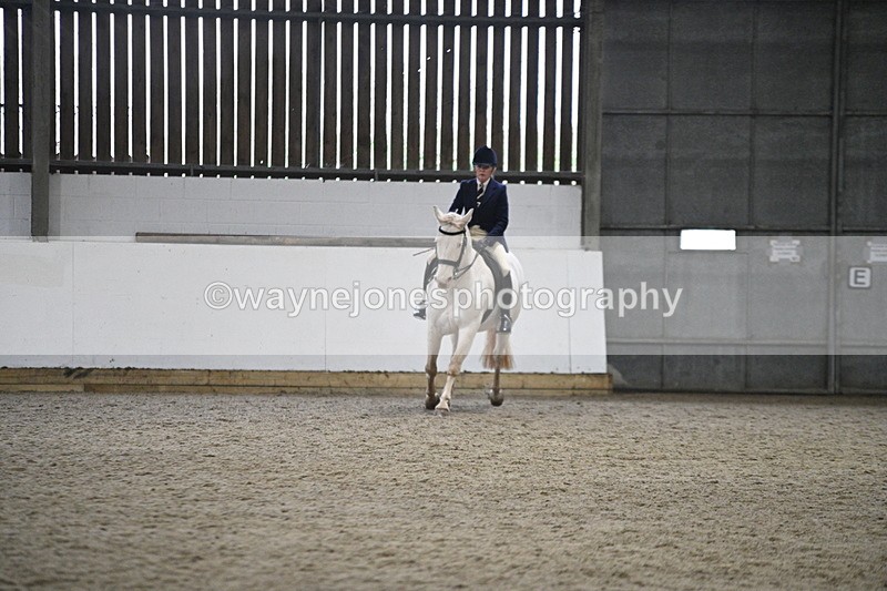 WJ7_3627 - Class 16 Ridden Coloured/ Odd Coloured