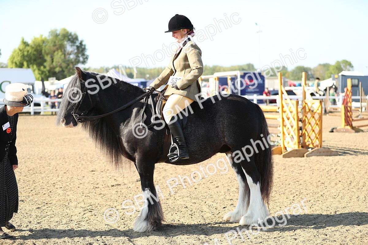 SBM_00419 - Class 41 Best Turned Out Ridden