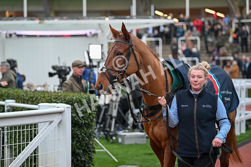 151124-Race 6-Paddock-Wreckless Eric-8561 - Race 6