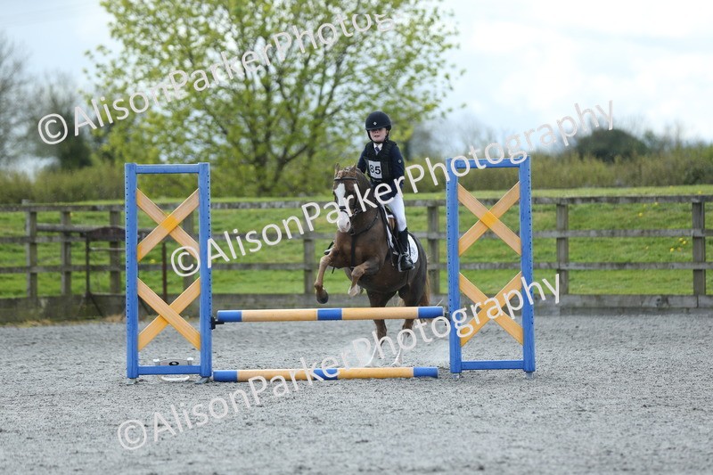 20260412-1739 - Show Jumping