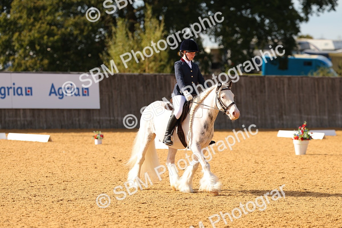 SBM_49653 - D22 - Junior Championship - Intro B