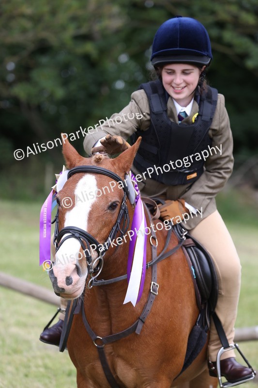 20260614-2167 - Class 21 - Novice Working Hunter Pony