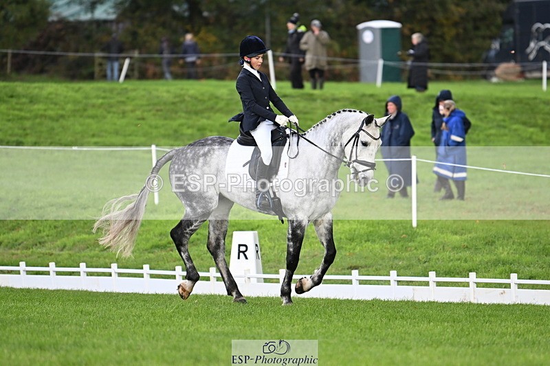 251023A-104750-02609 - G-509-Millie.Bloomfield