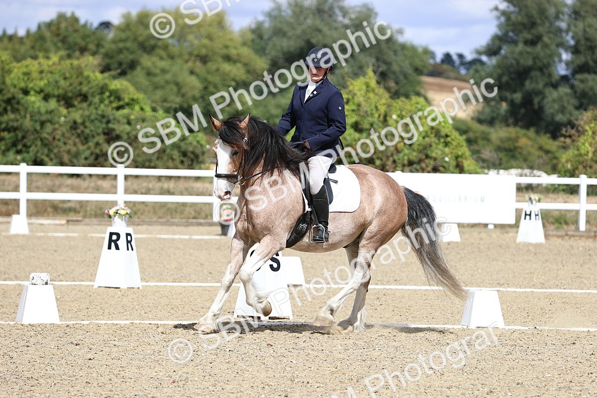 SBM_014573 - Class 5 - E5 Bronze 13.30.14.18