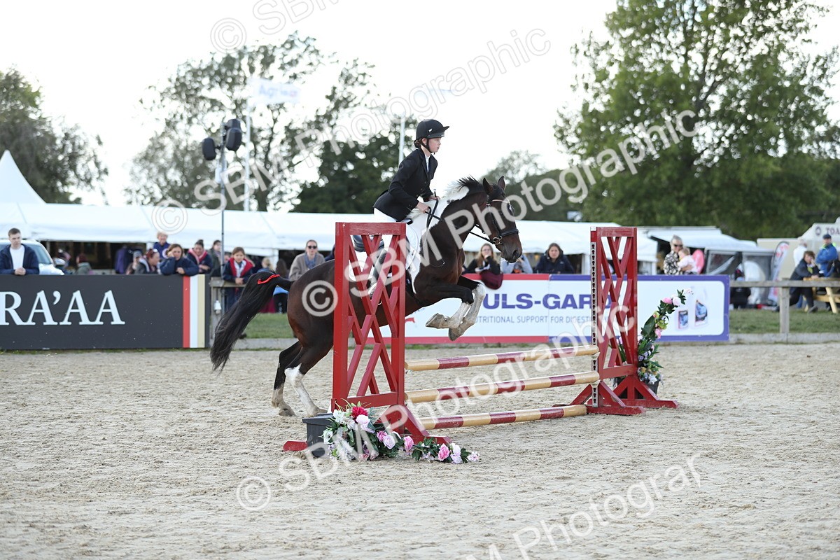 SBM_49502 - J22 - Junior Horse 65cm Championship