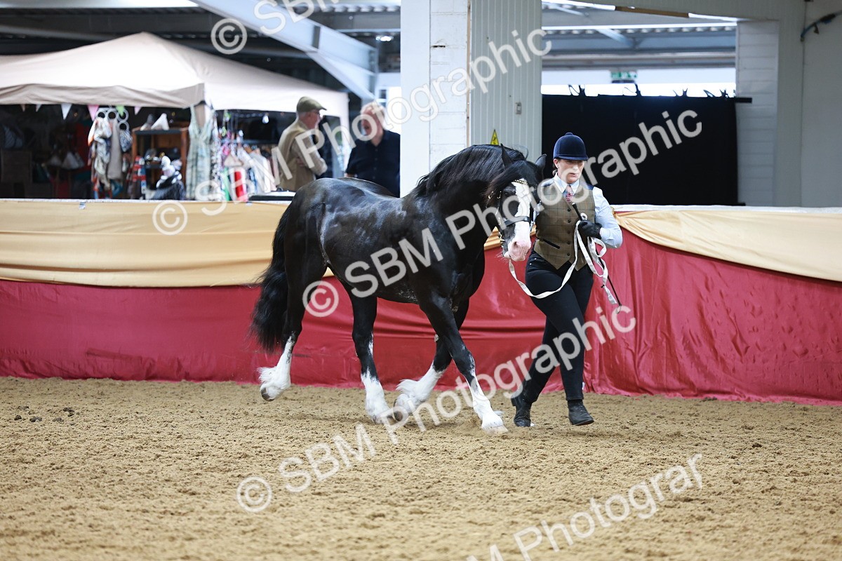 SBM_17467 - Class 951 - M&M IH Supreme Final