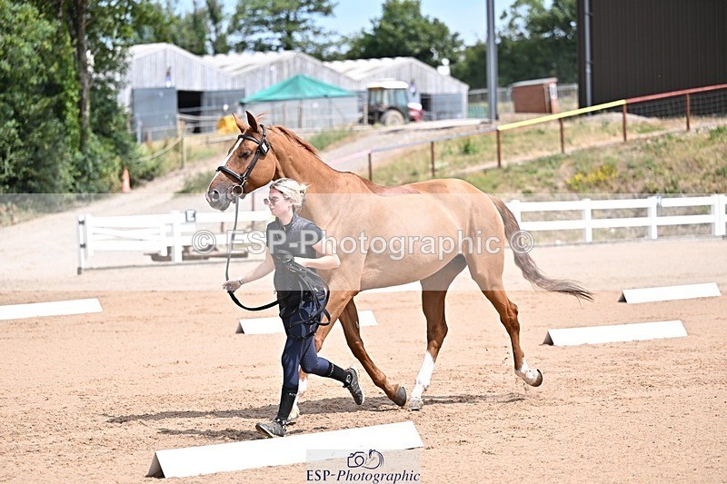 250716-125509-00214 - Trot Up 12.30 to 1.30