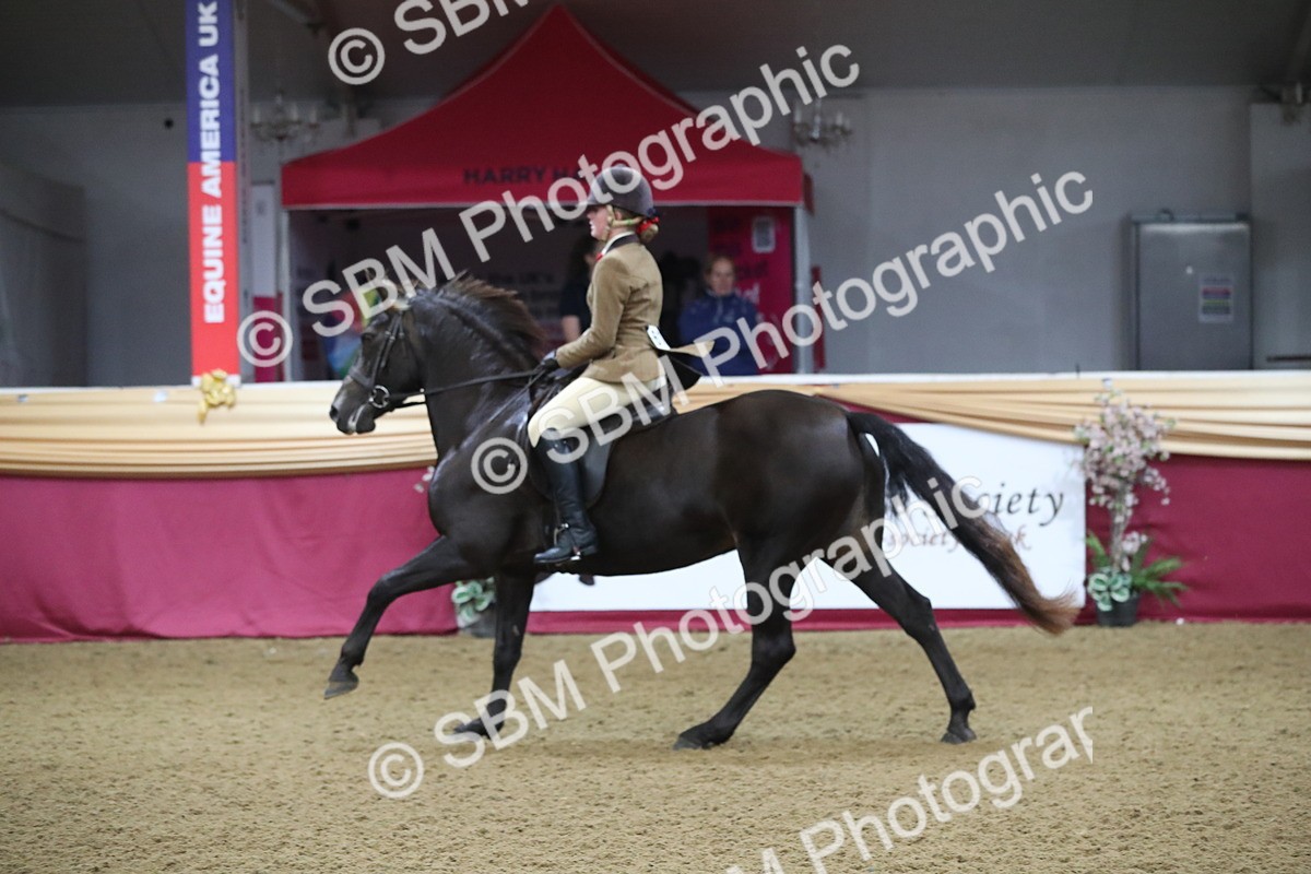 SBM_09301 - Class 101 Equitation (best rider), Junior