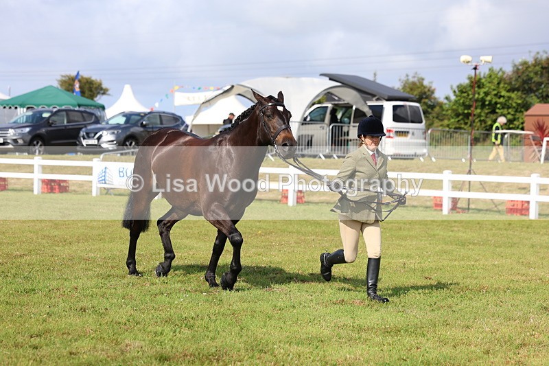 3E7A9111 - Class 3: Rising Star S/L Hunter