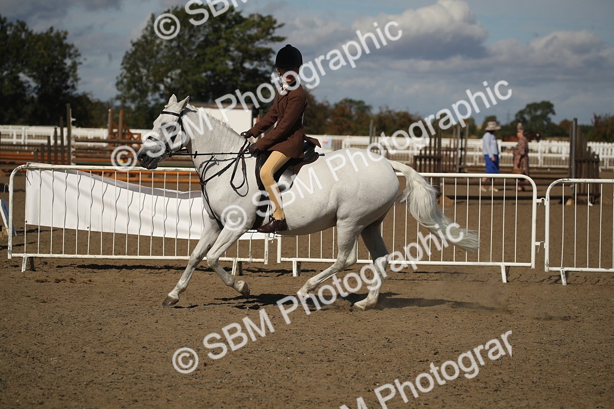 SBM_12758 - Class 504b - Junior Working Veteran - 40cm (20+)