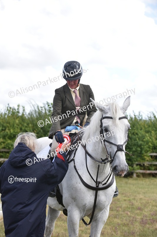 20250831-4134 - Class 13 - Working Hunter Horse or Pony