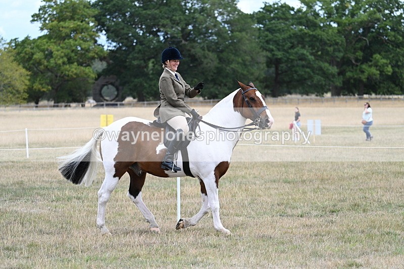 WJ7_4717 - Class 12 Ridden Cob