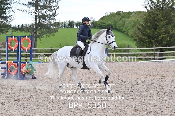BPP_5350 - CLASS 1 Clear Round Show Jumping