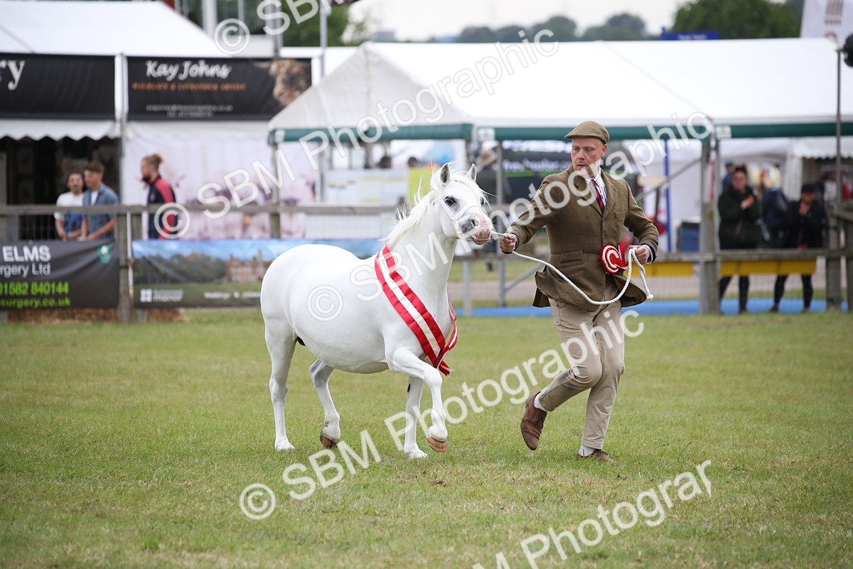 SBM_09903 - Ch 50 - Price Family Supreme In Hand