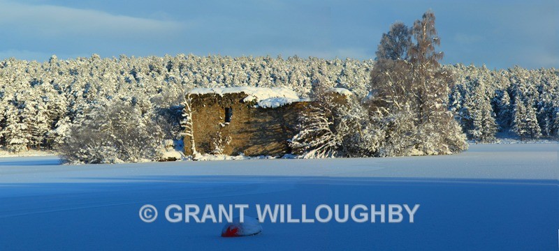  - Panorama