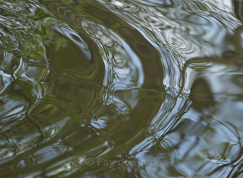  - Water gazing