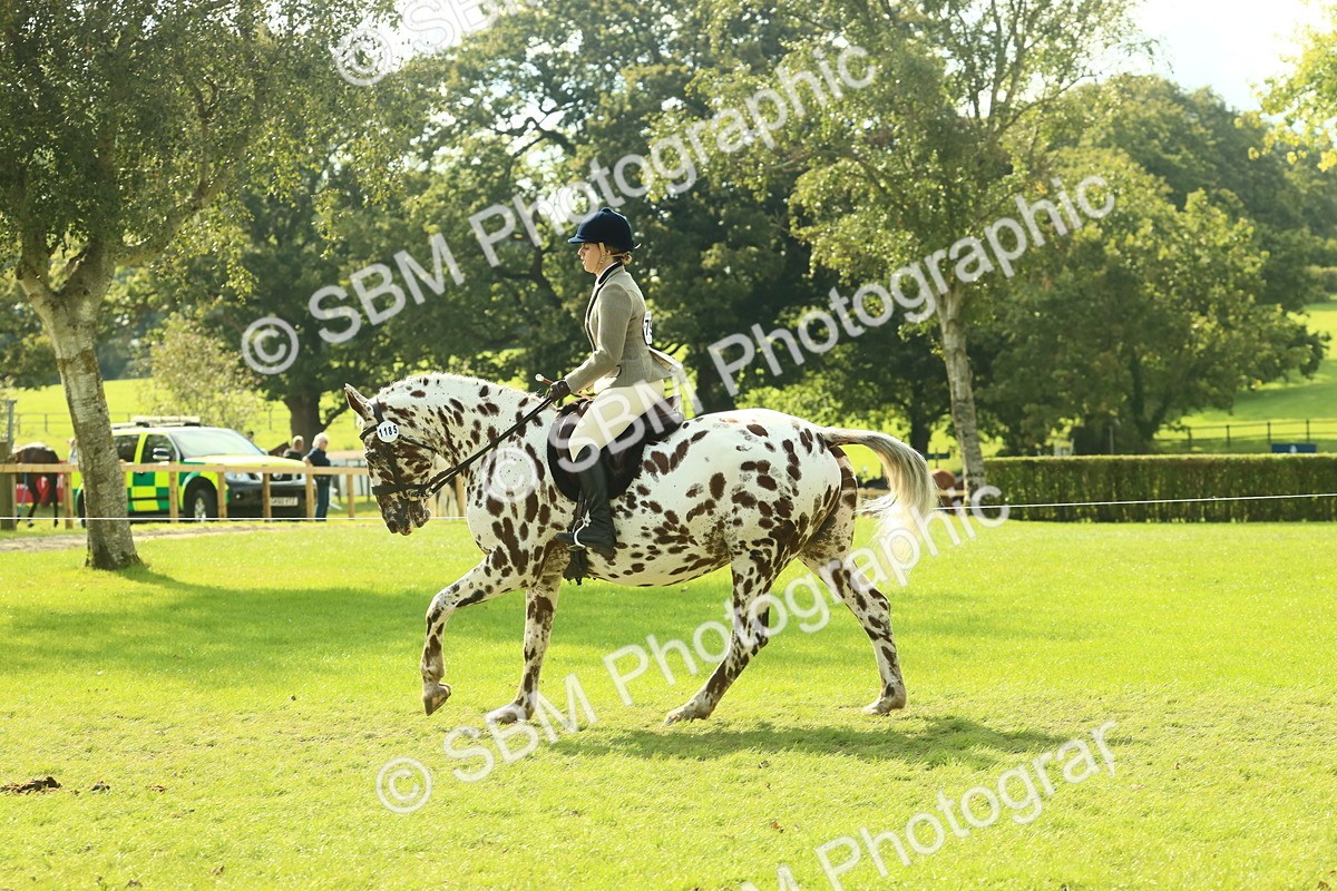 SBM_62477 - S62 - Foreign Breeds Ridden