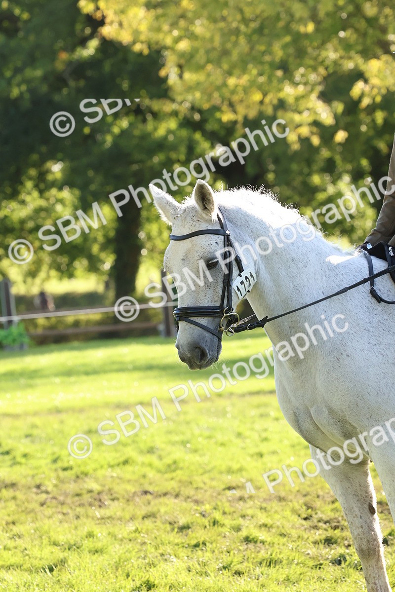 SBM_52663 - S13 - Pony Club Pony
