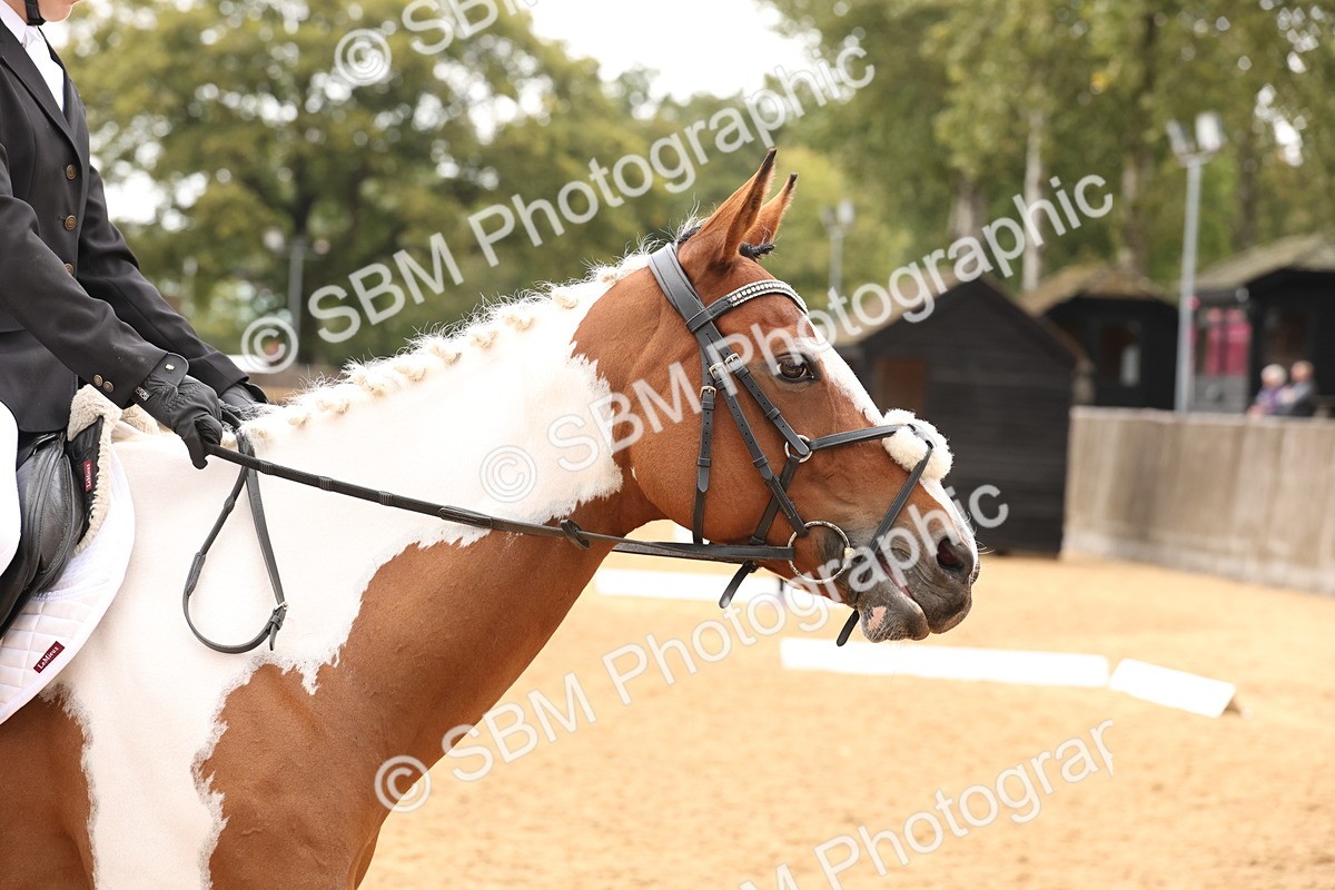 SBM_44048 - D6 - Small Tour Championship Intro 4