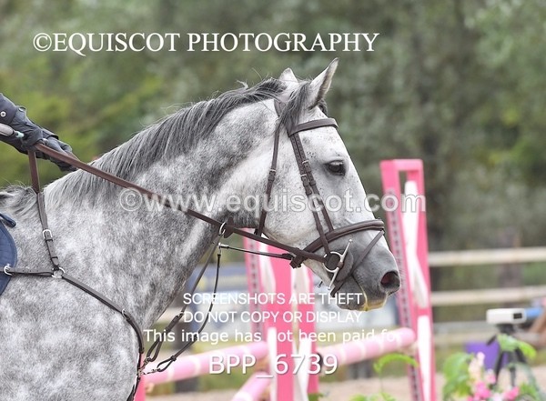 BPP_6739 - CLASS 8 - 90CM