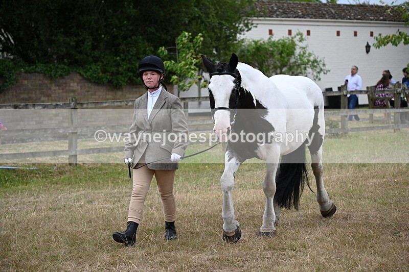 WJ6_8018 - Class 10 Coloured in Hand