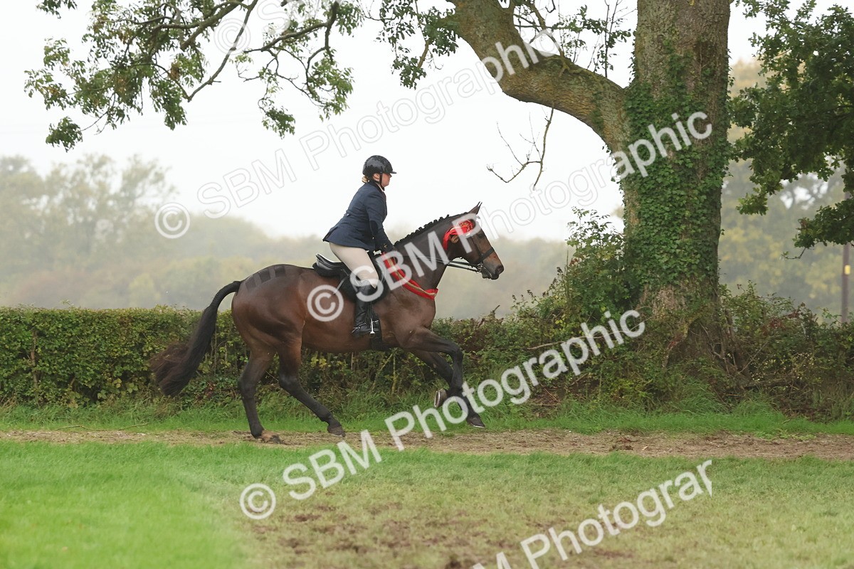 SBM_73224 - Super Supreme Championship(Sun)