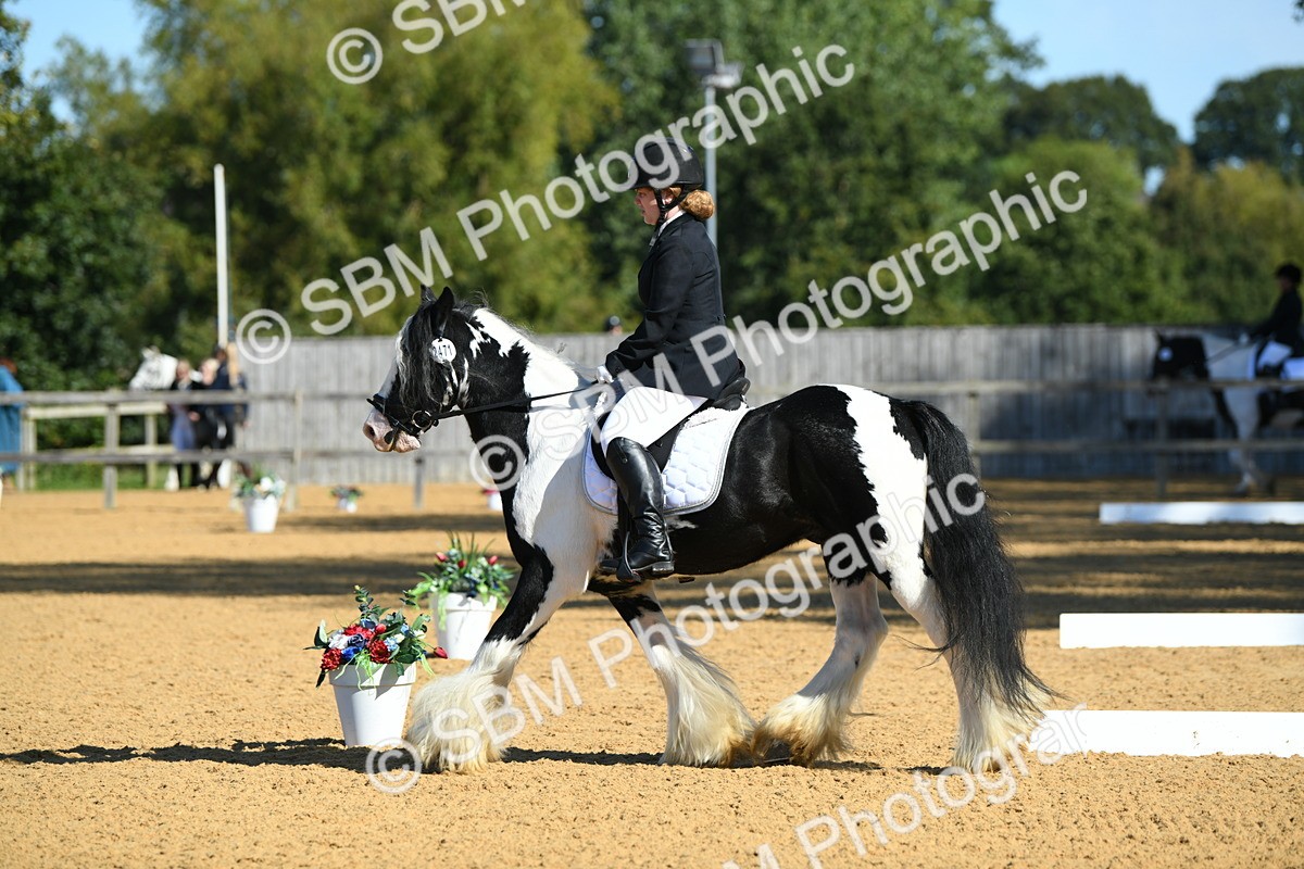 SBM_18066 - D4 - Small Tour Championship - Intro B