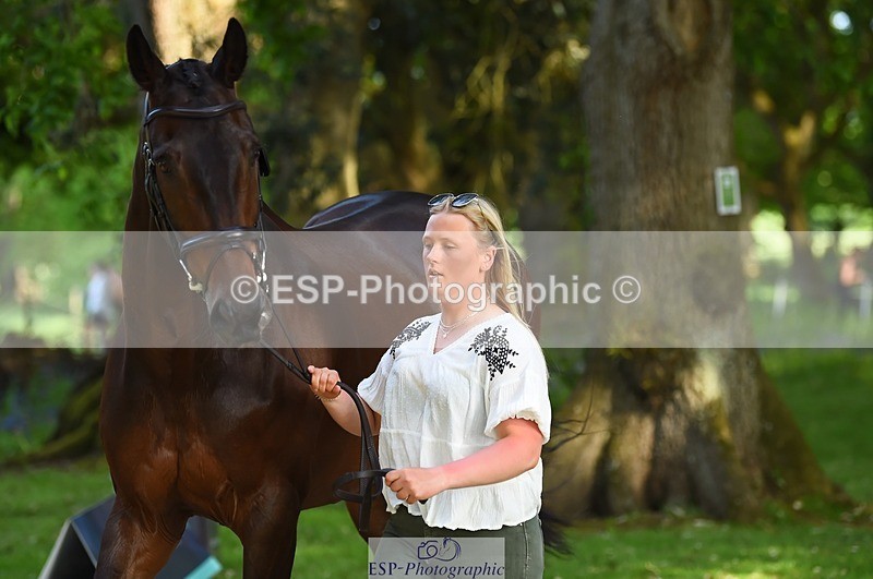 230524-171958-01442 - 178-RIDIRE_DORCHA-Lucy_Stimson-WEDTrotUp+DR