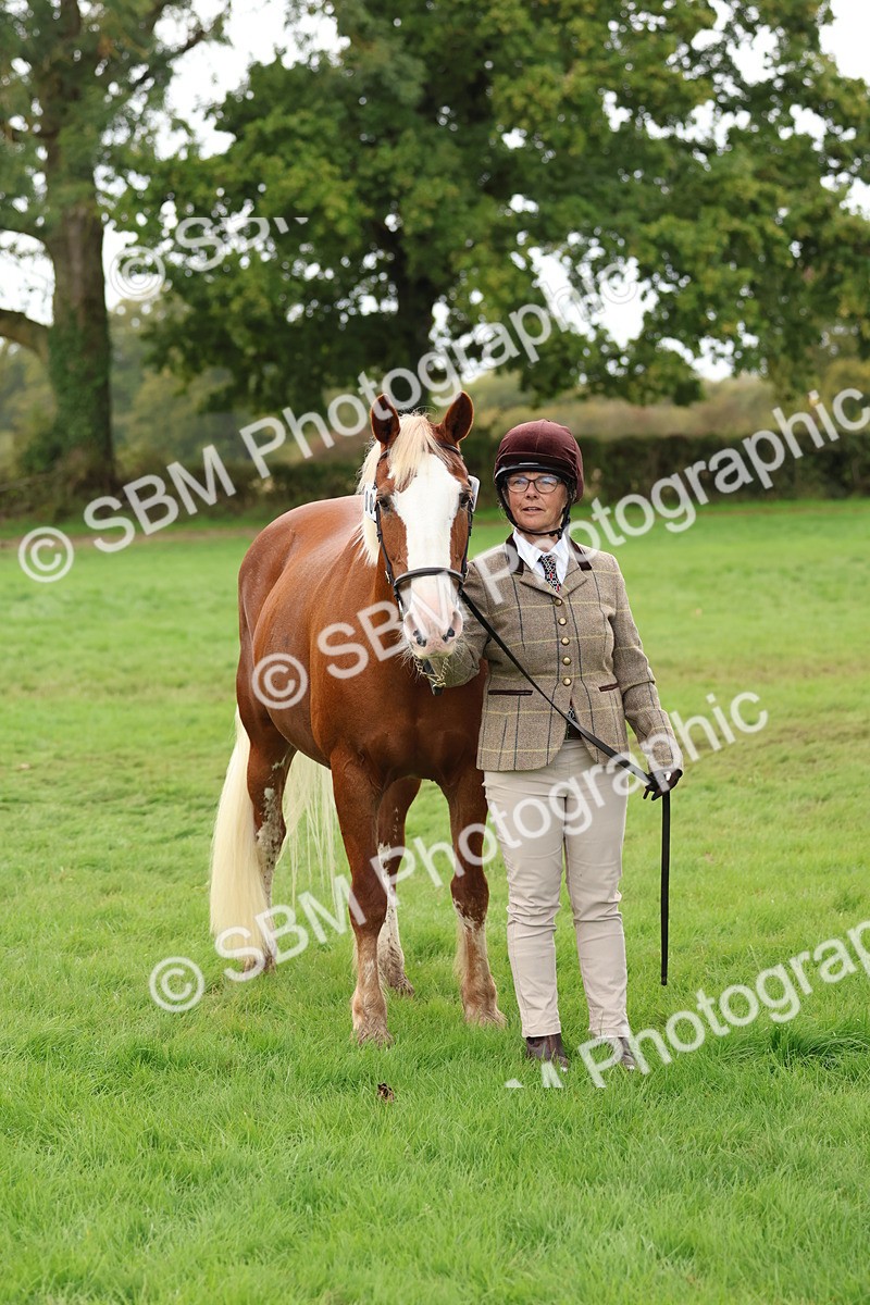 SBM_39501 - S24 - Young Veteran In Hand