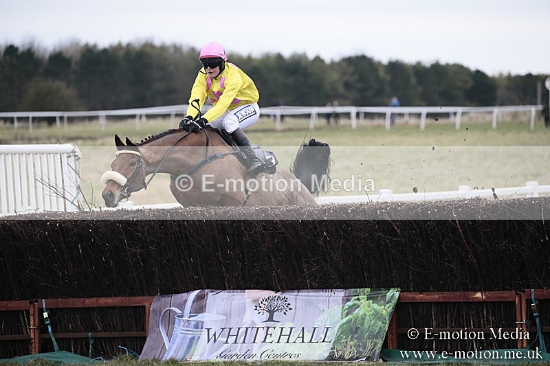 PtP 180218 272 - Combined Services Point-to-Point Larkhill 18/02/18