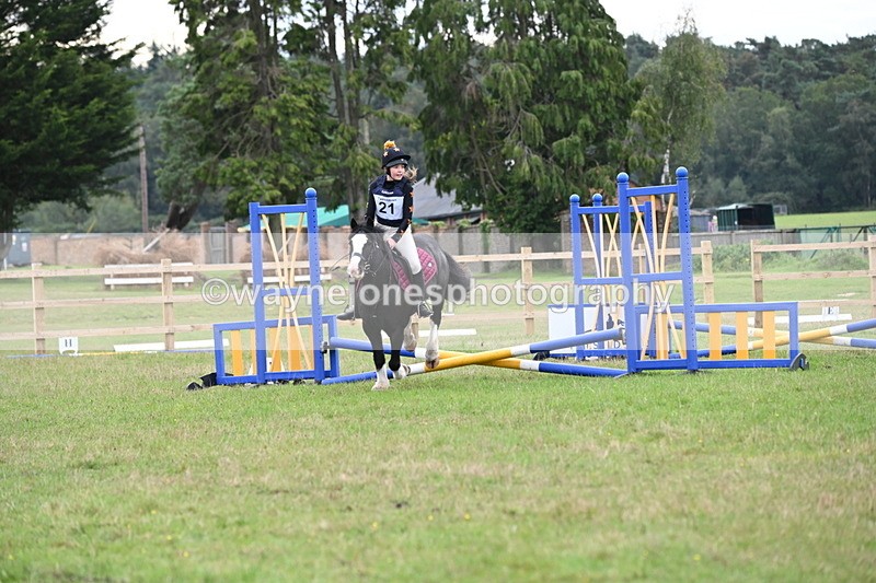 WJ6_0628 - 40cm Time 10:29 to 10:52