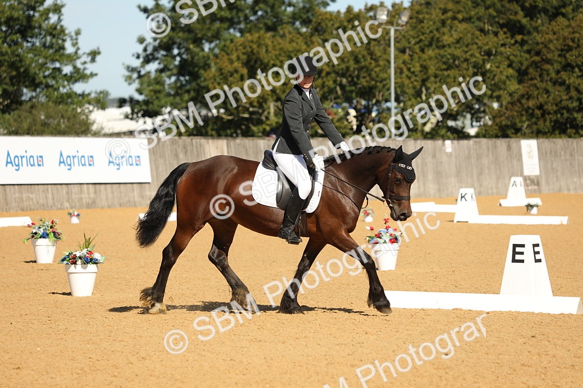 SBM_18800 - D10 - Small Tour Championship - Prelim 2