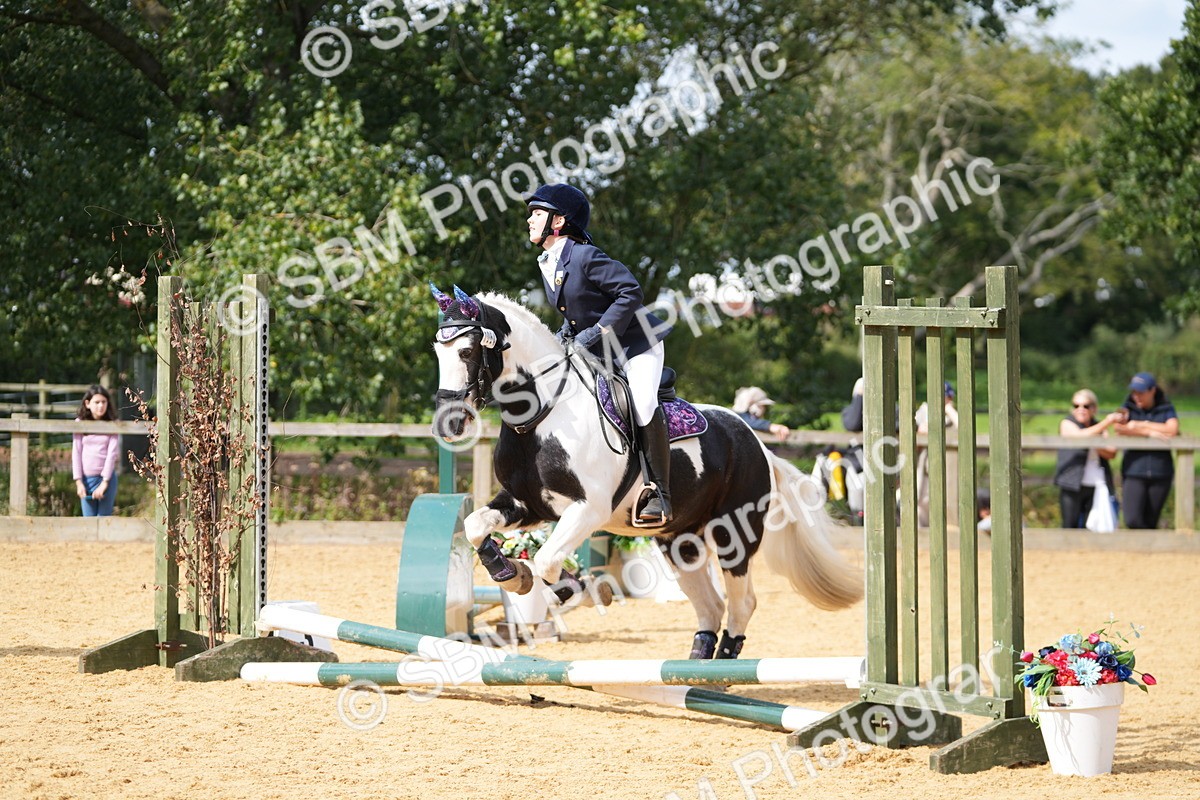 SBM_65677 - J2 - Mini Tour Junior Pony 30cm Championship
